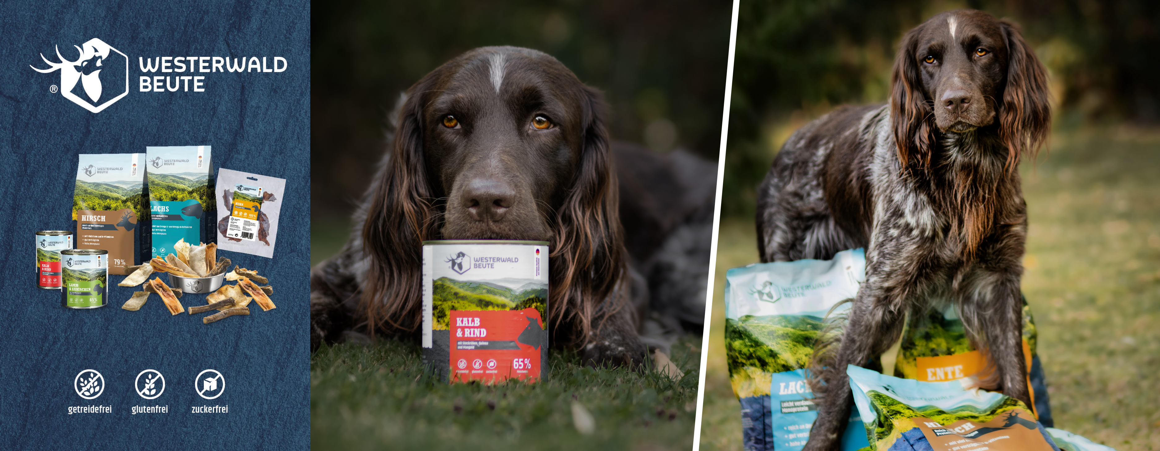 Dreiteiliges Bild: Links die Verpackung von Westerwald Beute Hundefutter; in der Mitte ein brauner Hund, der mit dem Kopf auf einer Dose des Futters liegt; rechts derselbe Hund, der im Freien zwischen verschiedenen Verpackungen des Hundefutters steht.