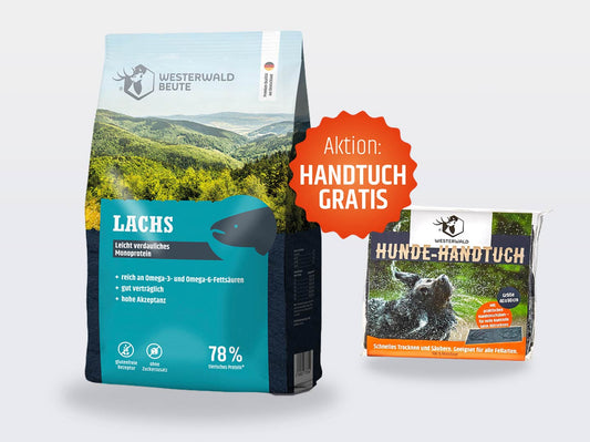 Lachs Trockenfutter – 3kg Beutel + Hunde-Handtuch gratis